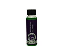 nanolex Reactivating Shampoo 100ml