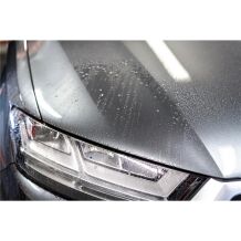 Soft99 - Authentic Premium - Pure Carnauba Wax - 200g