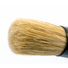 Nuke Guys Detailing Pinsel