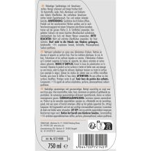 Sonax Caravan Innenreiniger 750ml
