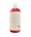 Gloria FoamMaster FM30 + Wizard of Gloss Kiba Snow Foam 750ml