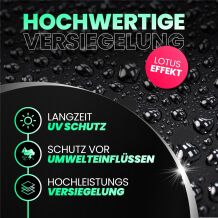 Menzerna Black Gloss & Protect Autopolitur 250ml