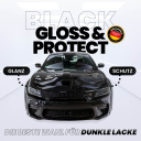 Menzerna Black Gloss & Protect Set