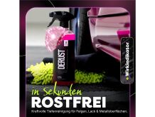 Wizard of Gloss Flugrostentferner Set