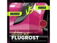 Wizard of Gloss Flugrostentferner Set