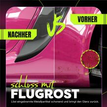 Wizard of Gloss Flugrostentferner Set