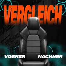 THE FINISHER LeatherLock 500ml + Auftragsschwamm + Mikrofasertuch